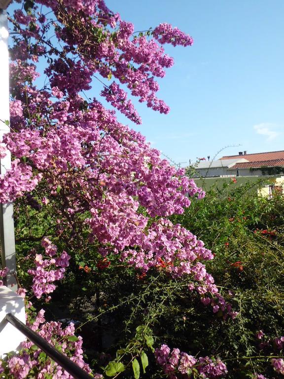 Apartments Viskovic Makarska Bagian luar foto